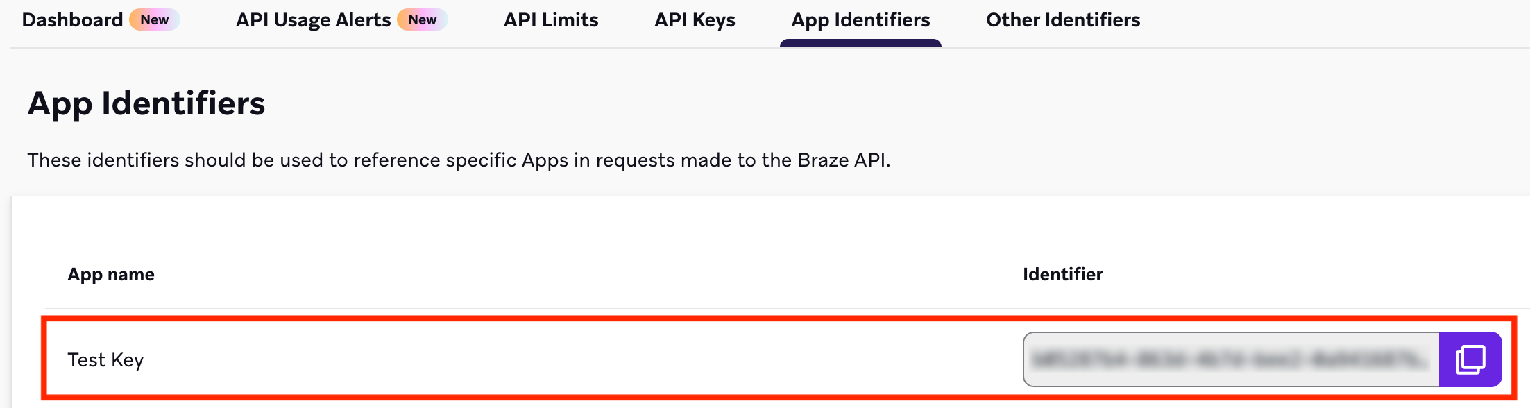Braze Default API Key